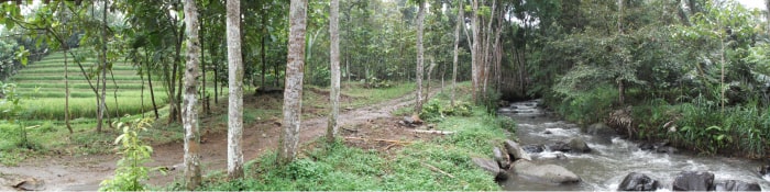 SAWAH SUNGAI copy-min